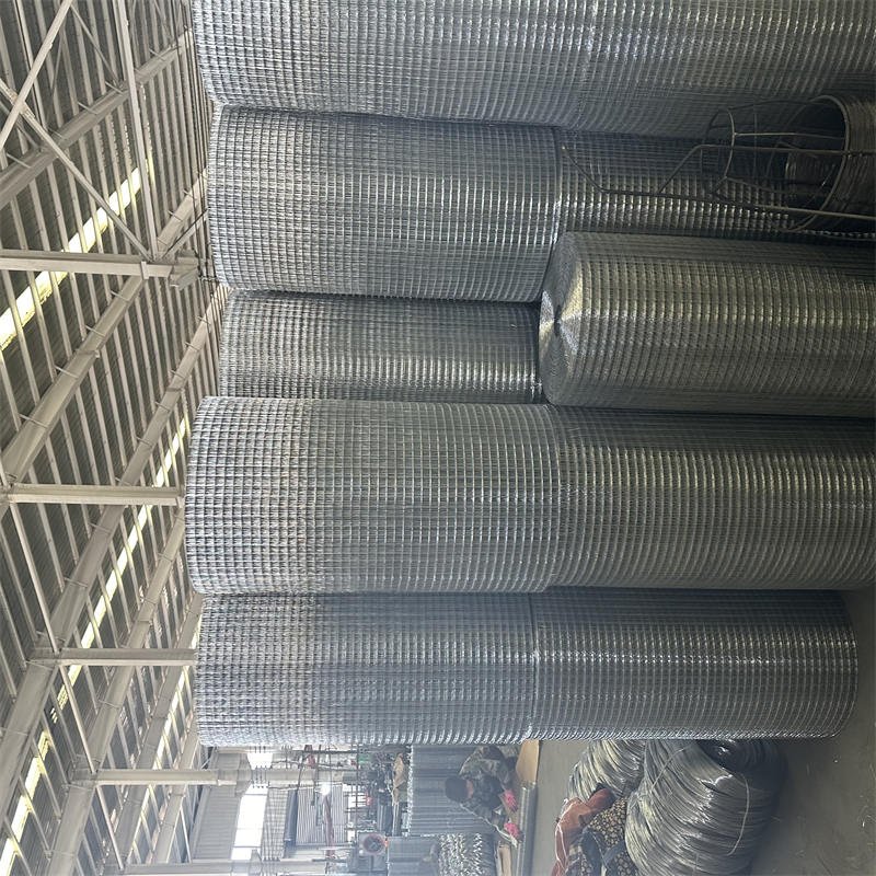building materials iron welded bird cage wire mesh and welded mesh