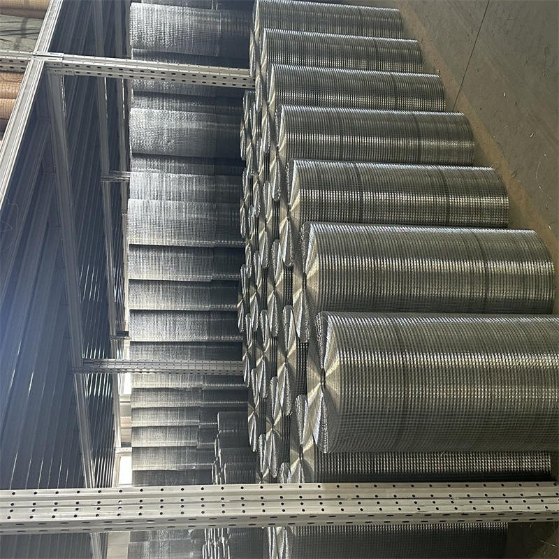 building materials iron welded bird cage wire mesh and welded mesh