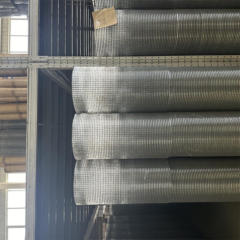 building materials iron welded bird cage wire mesh and welded mesh