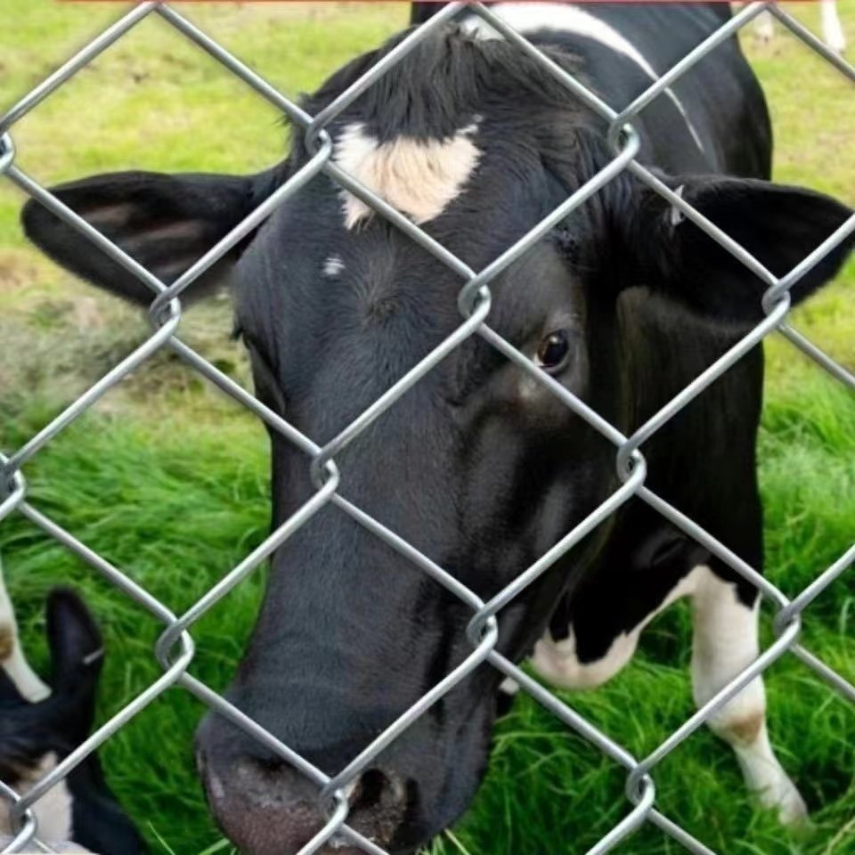 Steel Wire Mesh Metal Fencing for Farm Use