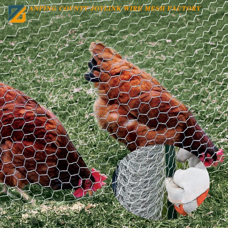 PVC Coated Chicken Wire Cloth Poultry Netting Fencing Hexagonal Wire Mesh Roll for Poultry Farming Gardening