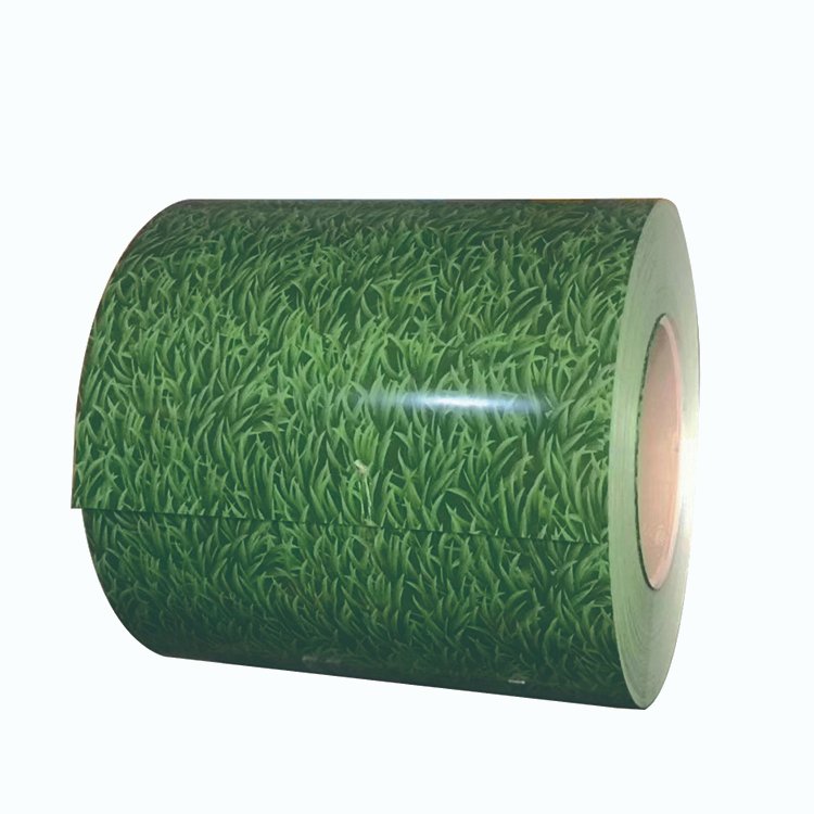 Ral9010 Color Prepainted Galvanized Steel Coil White Sheet China Any Color Design Flower Pattern Design Ppgi