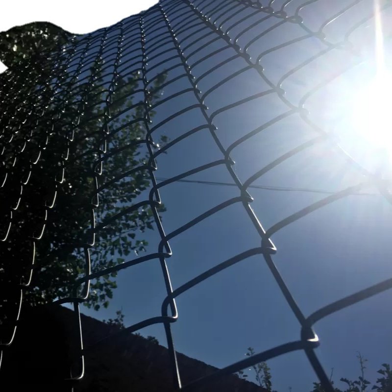 Galvanized Diamond Wire Mesh Fence (factory price)