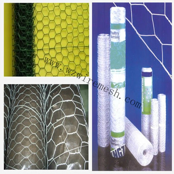 Factory Price High Quality Galvanized Steel Wire Mesh Hexagonal Chicken Mesh for Farm Fencing Woven Technique PVC Coated Finish