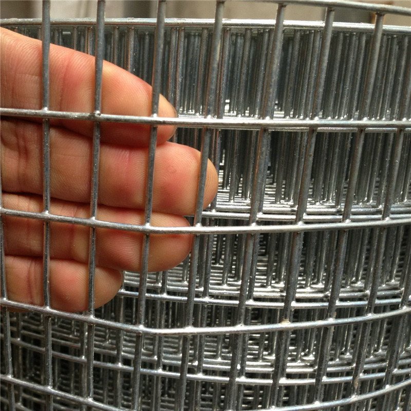3mm chicken coop 10g summer season made of steel wire mesh