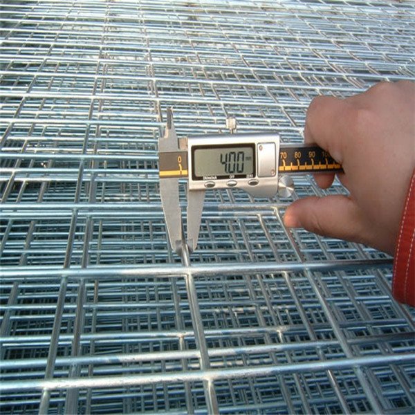 Hot Dipped Galvanized Welded Wire Mesh Factory Supply Galvanized Steel Wire Mesh