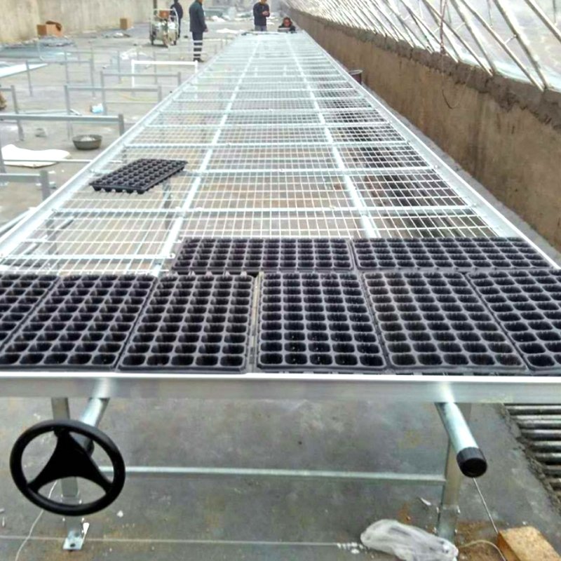 Galvanized Seedbed Mesh Welded Wire Mesh Panels For Greenhouse Greenhouse seedbed steel wire mesh