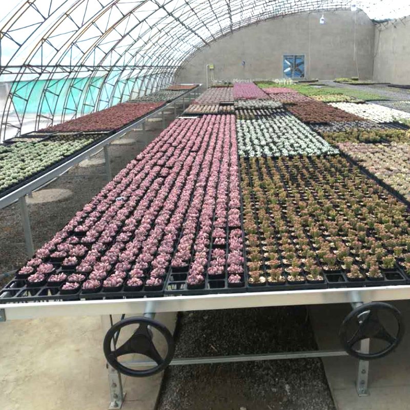 Galvanized Seedbed Mesh Welded Wire Mesh Panels For Greenhouse Greenhouse seedbed steel wire mesh