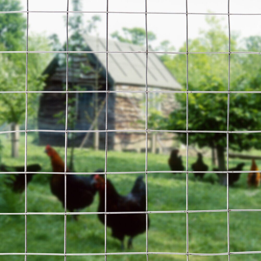 2x2 4x4 6x6 galvanized welded wire mesh roll price for bird cage/Rabbit Fencing Aviary Fence