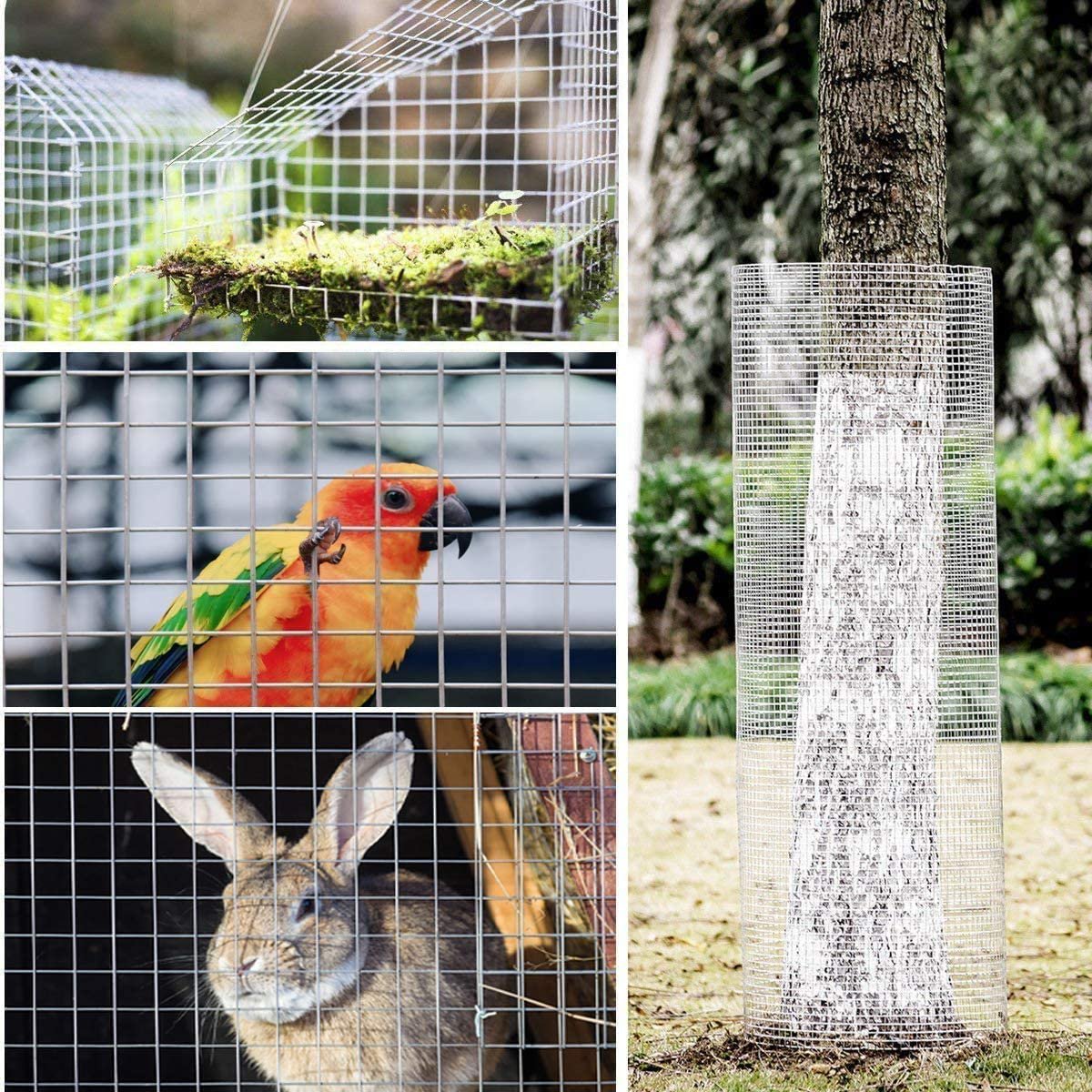 2x2 4x4 6x6 galvanized welded wire mesh roll price for bird cage/Rabbit Fencing Aviary Fence