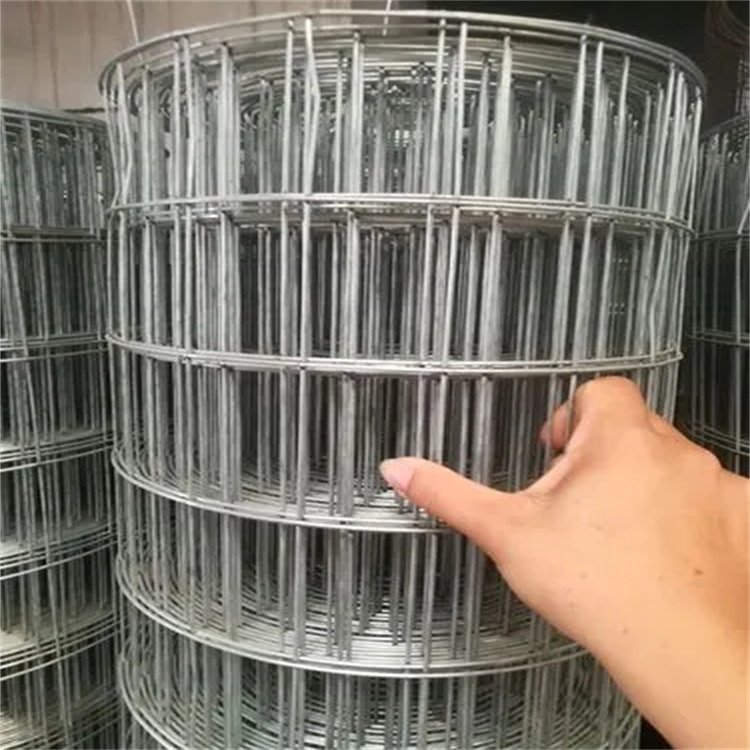 Factory Custom welded wire mesh panel welded wire mesh fence panels in 12 gauge