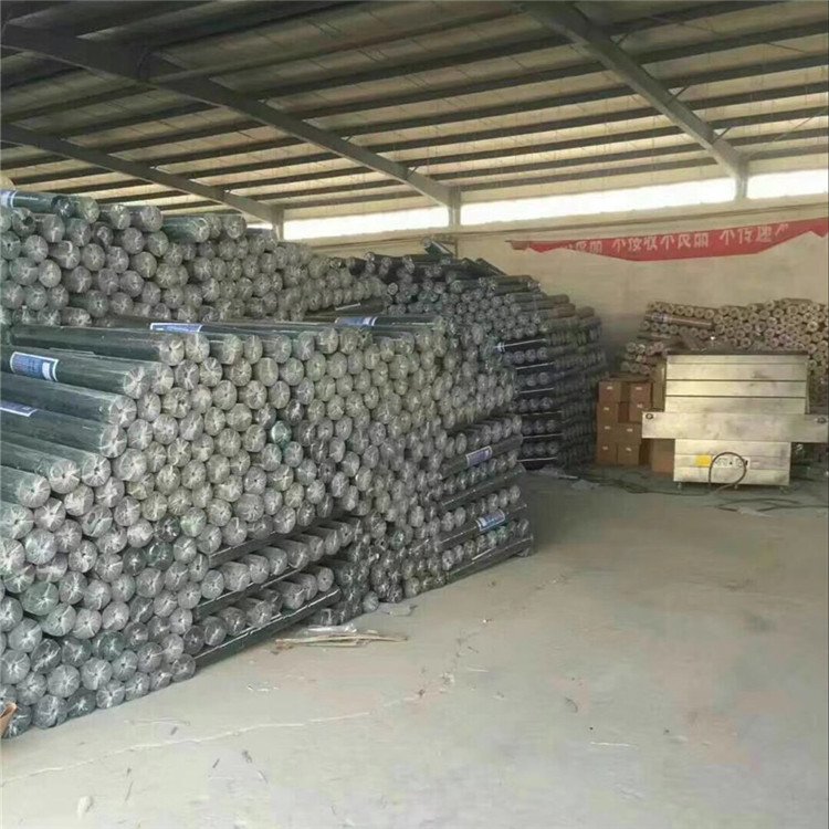 manufacturers direct selling Galvanized PVC Coated carbon steel Welded Wire Mesh