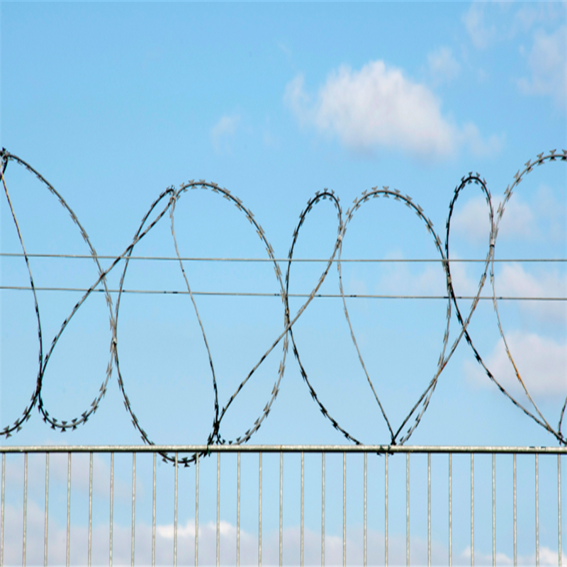 Electrified Concertina Wire Razor Wire Played High Security Protection
