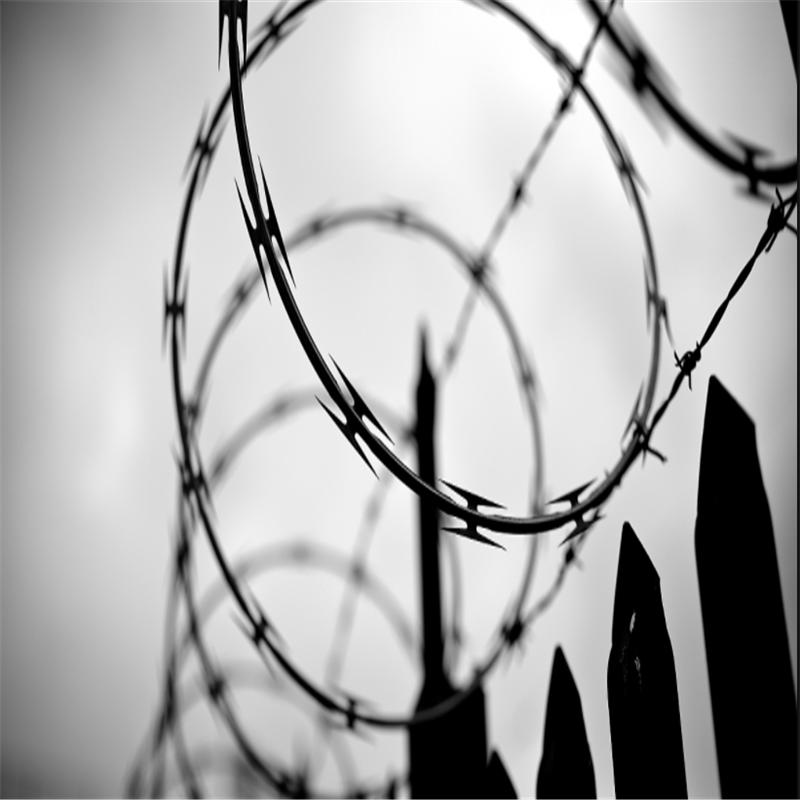 Electrified Concertina Wire Razor Wire Played High Security Protection