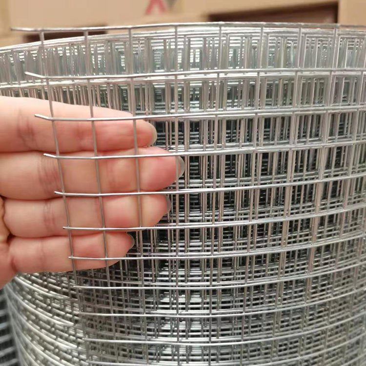 Hot Dipped Galvanized Welded Wire Mesh Price Pvc Coated Welded Wire Mesh