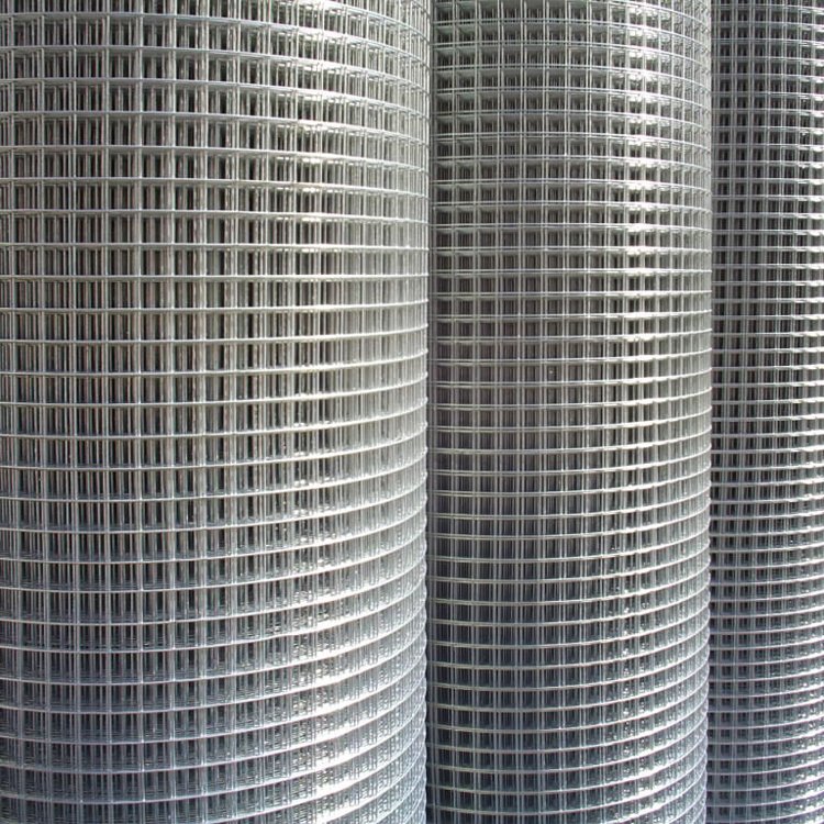 Hot Dipped Galvanized Welded Wire Mesh Price Pvc Coated Welded Wire Mesh