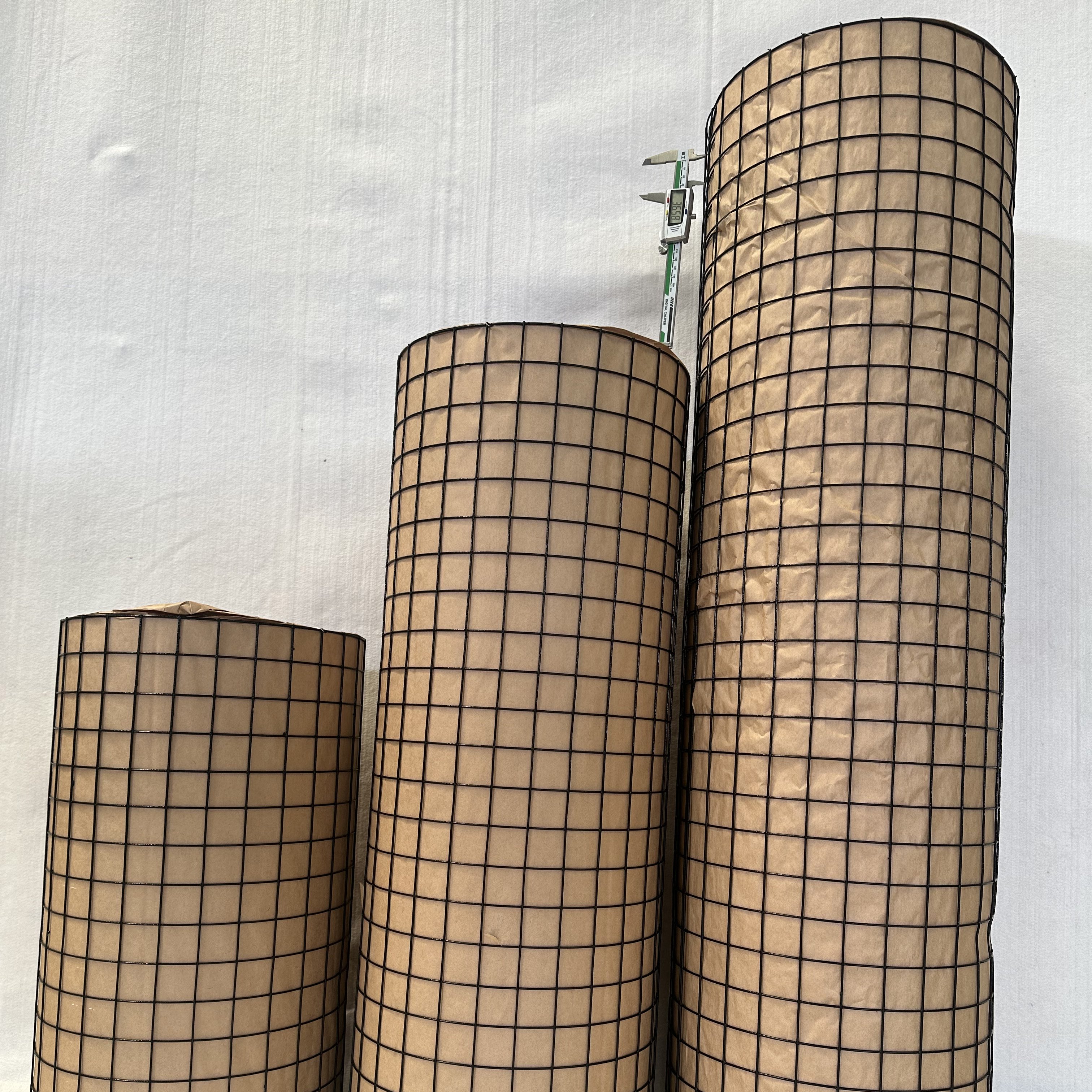 Hot Dipped Galvanized Fencing Iron Netting 10 gauge Welded Wire Mesh rolls for rabbit bird Animal Pet Cages