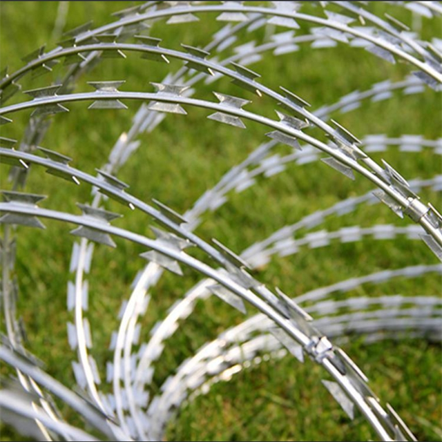 High Quality Hot dipped Galvanized Double Strand Razor Barbed Wire Coil Diameter 500mmx10kg Used on Top of Fence