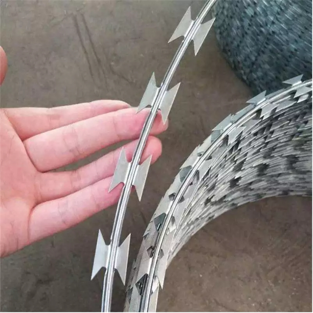 High Quality Hot dipped Galvanized Double Strand Razor Barbed Wire Coil Diameter 500mmx10kg Used on Top of Fence