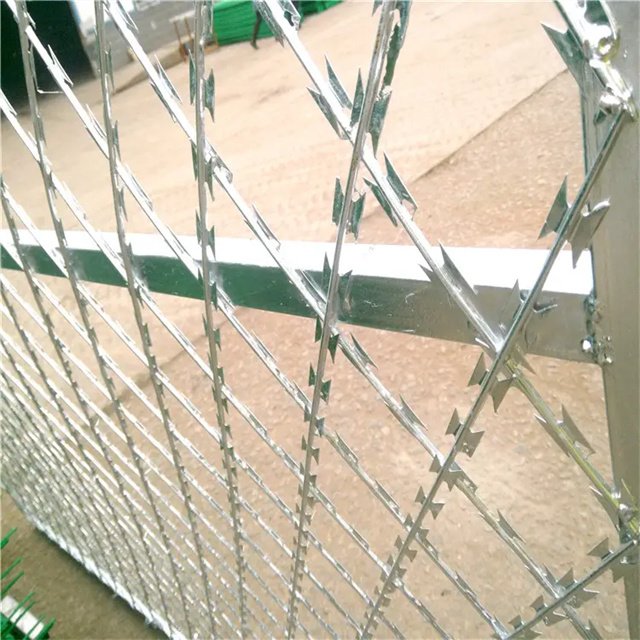 High Quality Hot dipped Galvanized Double Strand Razor Barbed Wire Coil Diameter 500mmx10kg Used on Top of Fence