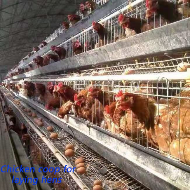 Chicken Breeding Cage with Steel Wire Mesh for Poultry Rearing