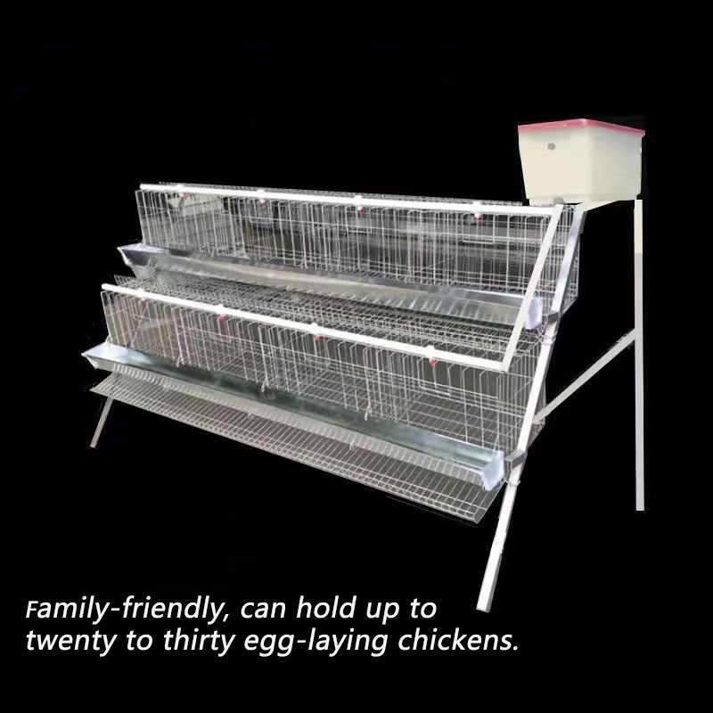 Chicken Breeding Cage with Steel Wire Mesh for Poultry Rearing