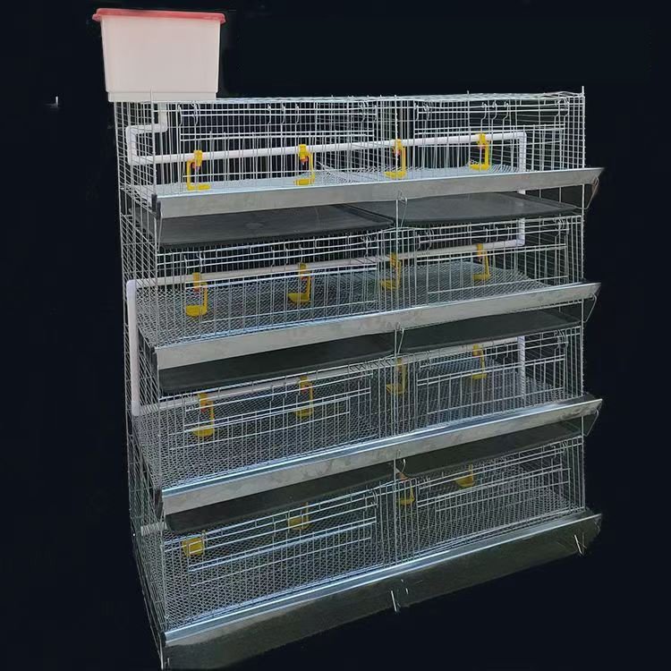 Chicken Breeding Cage with Steel Wire Mesh for Poultry Rearing