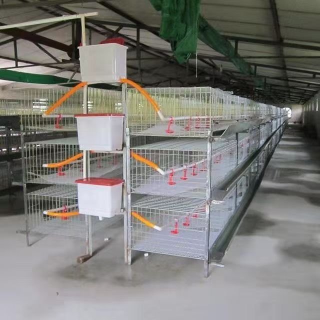 Chicken Breeding Cage with Steel Wire Mesh for Poultry Rearing
