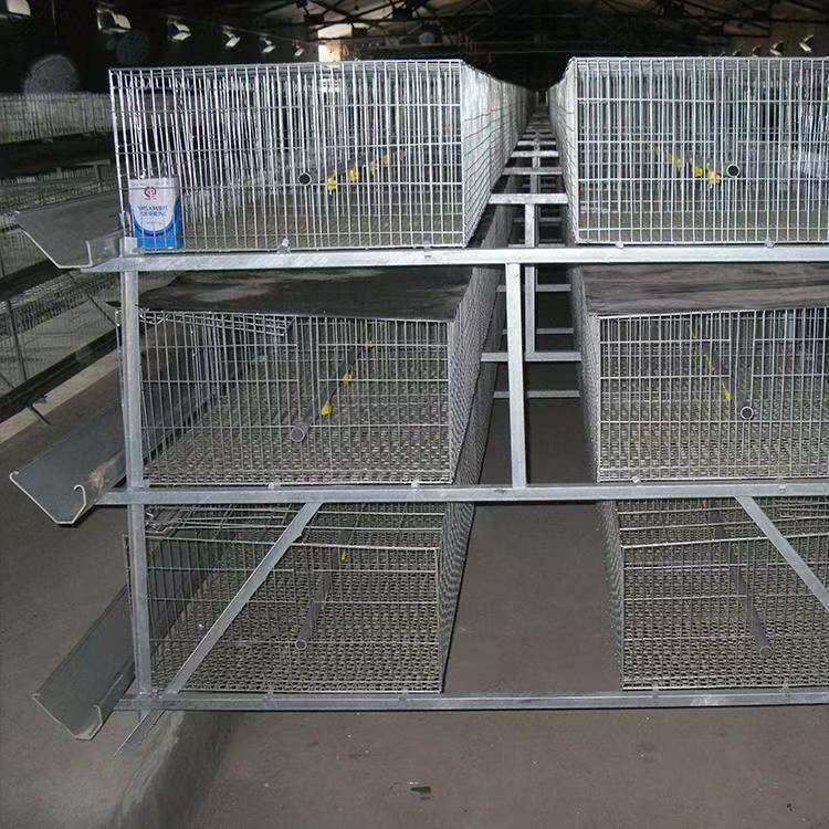 Chicken Breeding Cage with Steel Wire Mesh for Poultry Rearing