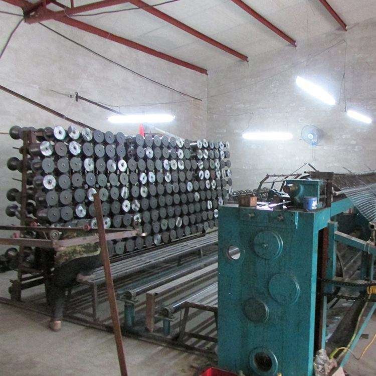 chicken nets hexagonal wire mesh netting