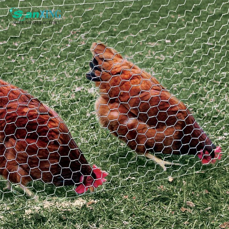 Small Chicken Wire Fencing Wire Mesh Screen Roll,Garden Mesh Roll Wire Netting (1/2in *36in * 100ft)