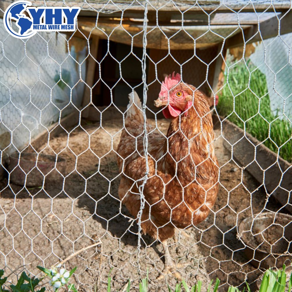 small chicken wire mesh Use for small animal enclosures / animal cages