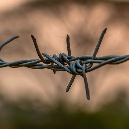 Fence Wall Hot Dipped Galvanized Concertina Razor Barbed Wire Mesh For Protection