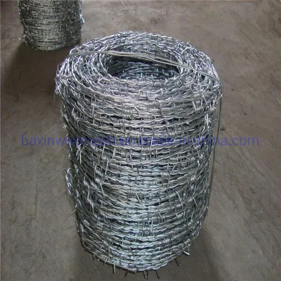 Fence Wall Hot Dipped Galvanized Concertina Razor Barbed Wire Mesh For Protection