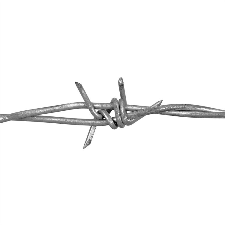 Fence Wall Hot Dipped Galvanized Concertina Razor Barbed Wire Mesh For Protection