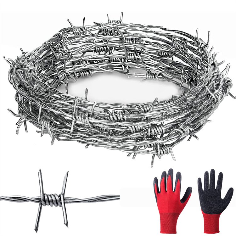 Fence Wall Hot Dipped Galvanized Concertina Razor Barbed Wire Mesh For Protection