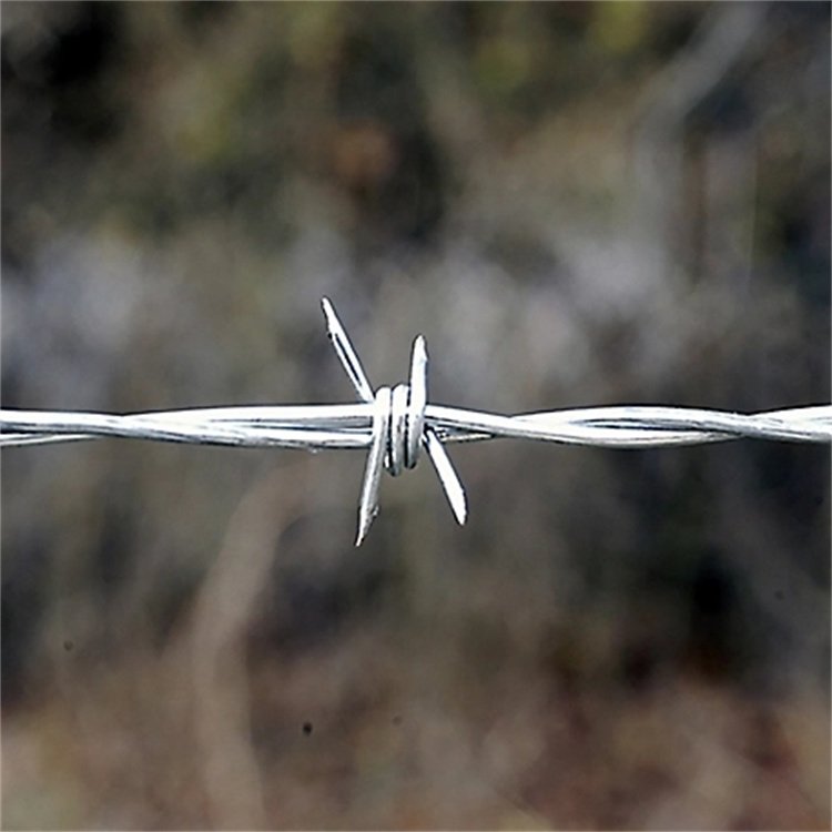 Fence Wall Hot Dipped Galvanized Concertina Razor Barbed Wire Mesh For Protection