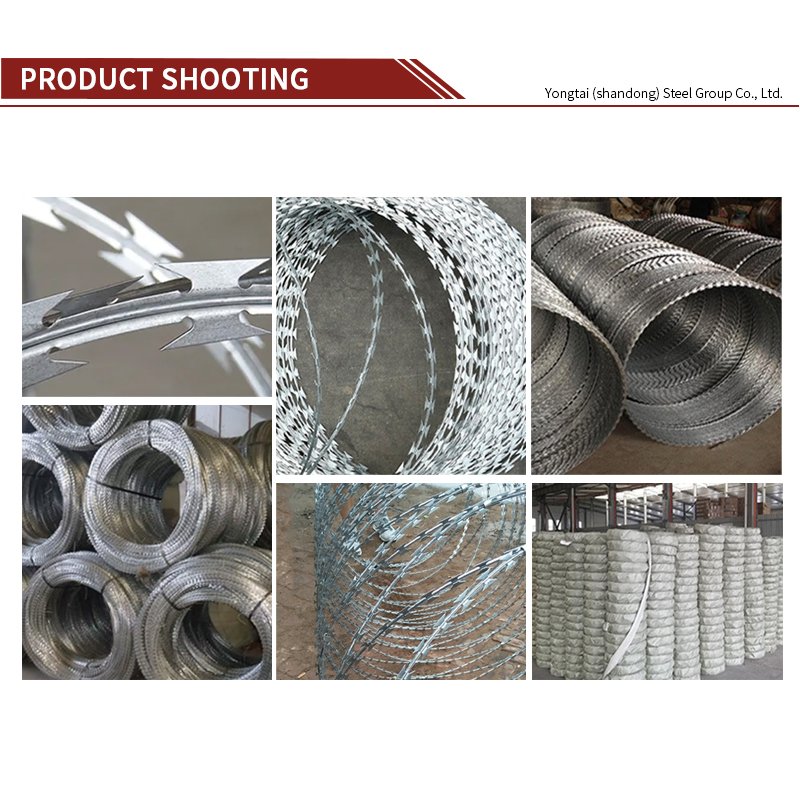 Manufacturer Free Bto-22 Bot28 Cbt-65 Stainless Steel Welded Cross Snake Razor Barbed Wire