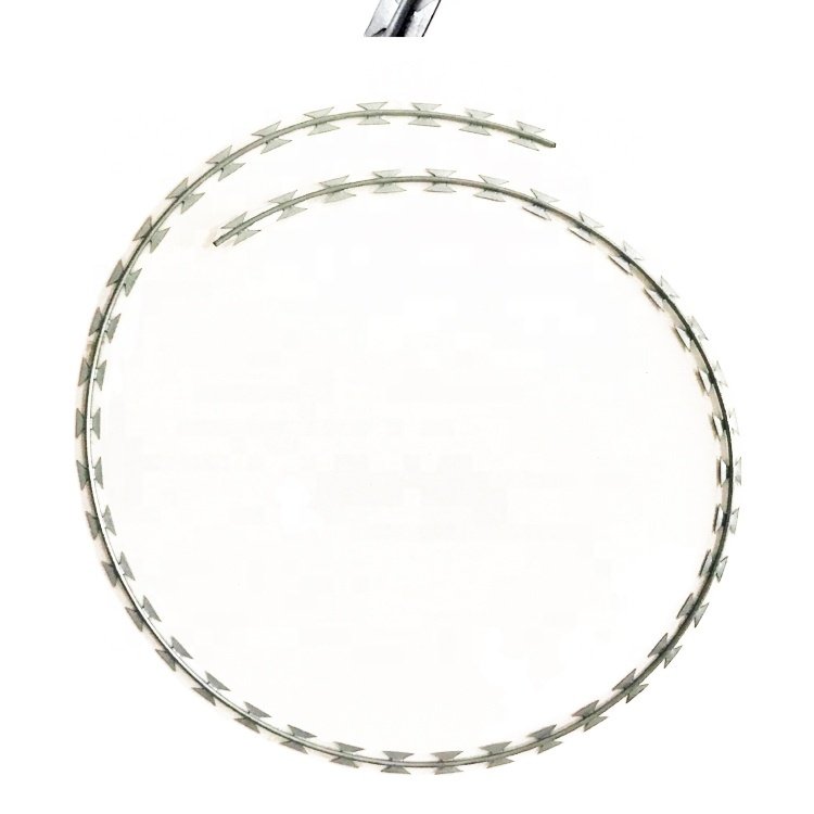 Bto22 Wire Stainless Steel Concertina Razor Barbed Wire Fence For Pakistan