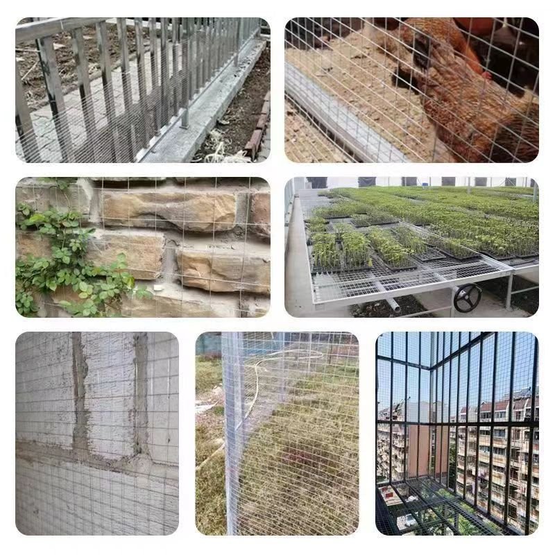 Exquisite workmanship Hexagonal galvanized guardrail mesh chicken mesh steel wire galvanized plaster wall anti-rat welding mesh