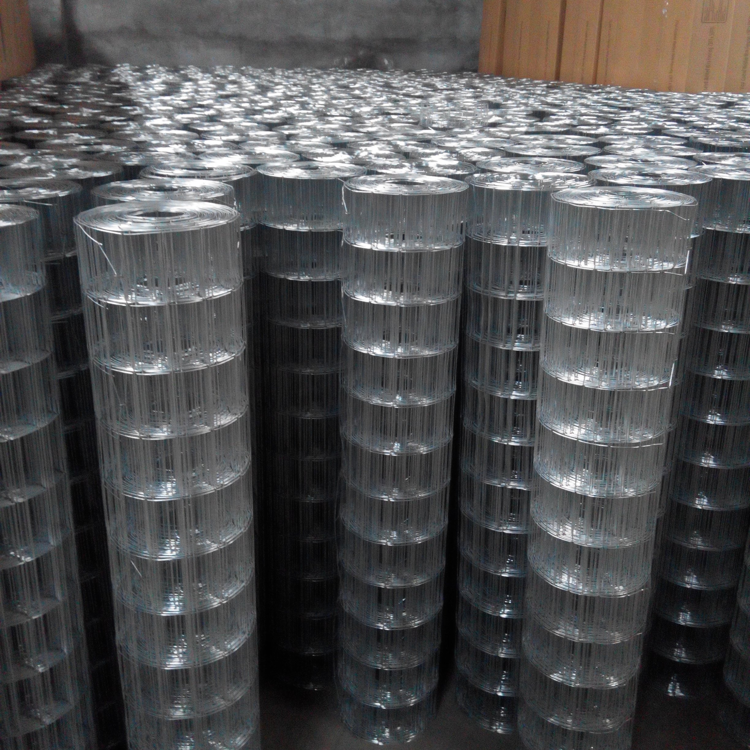 Hot dipped factory price galvanized welded wire mesh fence panel iron mesh roll