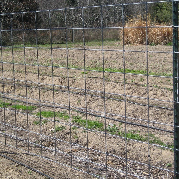 wire mesh fencing for horse woven field fencing