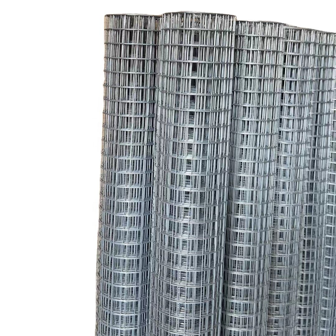 hot dip galvanized welded wire mesh