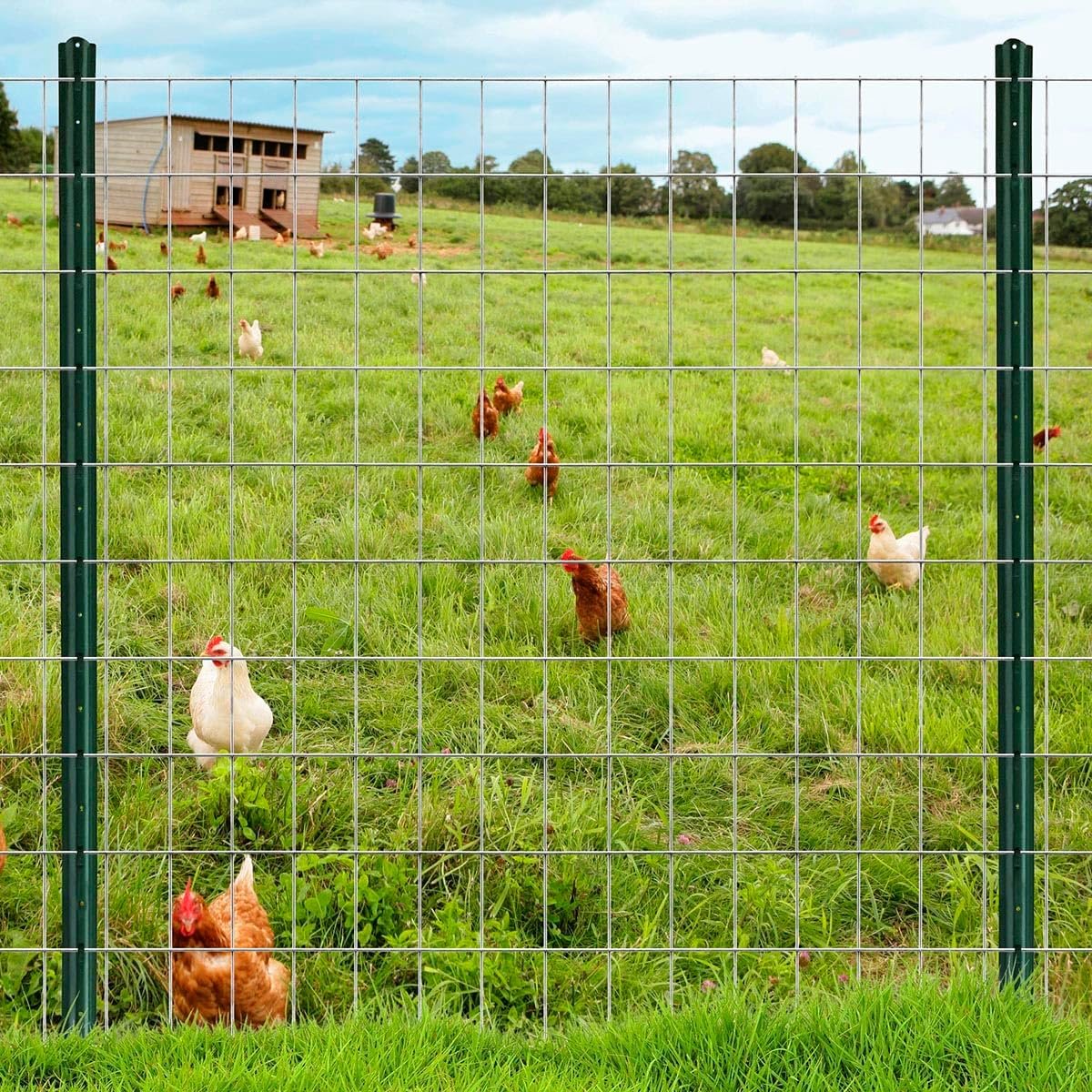 Iron Wire Mesh With Hot Galvanized Welded for Farm Fencing Plain Weave Black Wire Mesh Material