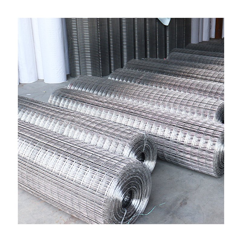 Hot Sale Hot dipped galvanized fencing netting 10 gauge steel welded wire mesh for animal pet cages