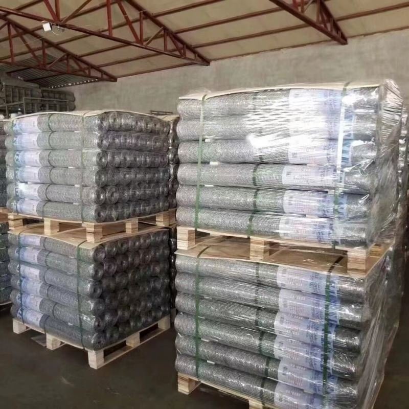 Customized wholesale 3mm wire 2x3 galvanized welded wire mesh
