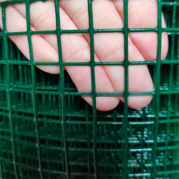 Custom 1/2 x 1/2 pvc epoxy coated welded wire mesh manufacturer