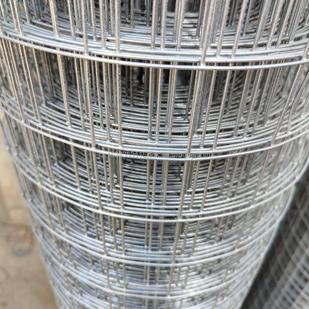 square iron wire mesh in rolls the length 25 meters 1/4 inch 1/2inch stainless steel welded wire mesh