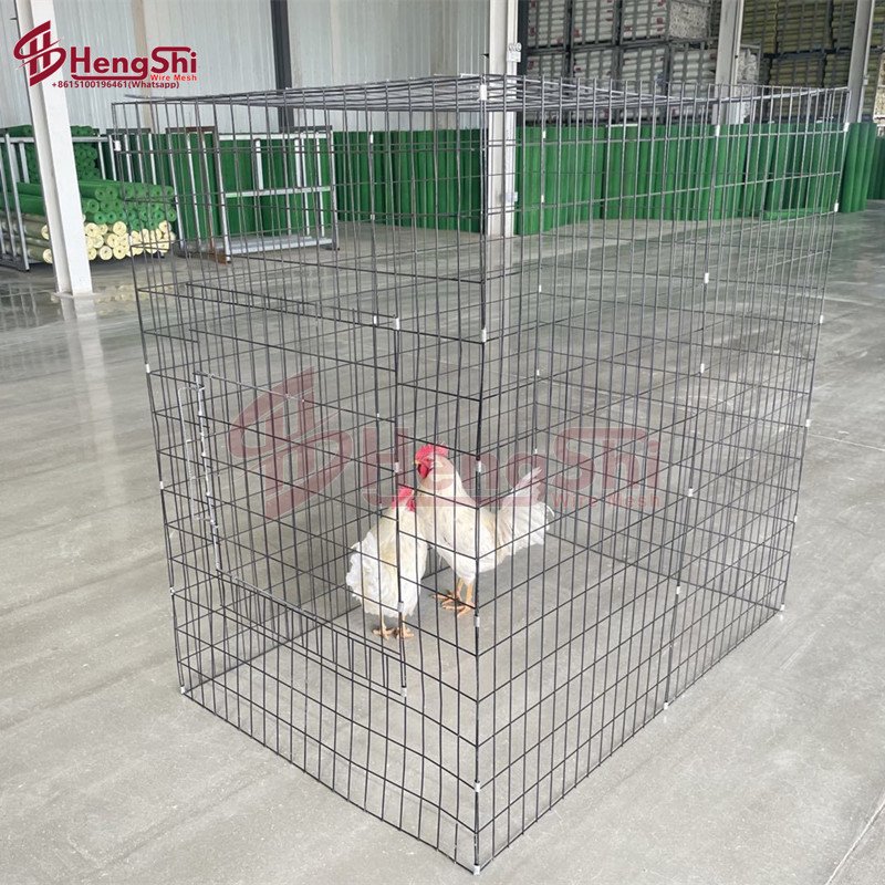 Safe temporary enclosure for chickens /Portable pen with front-opening door 5' x 5' x 40''
