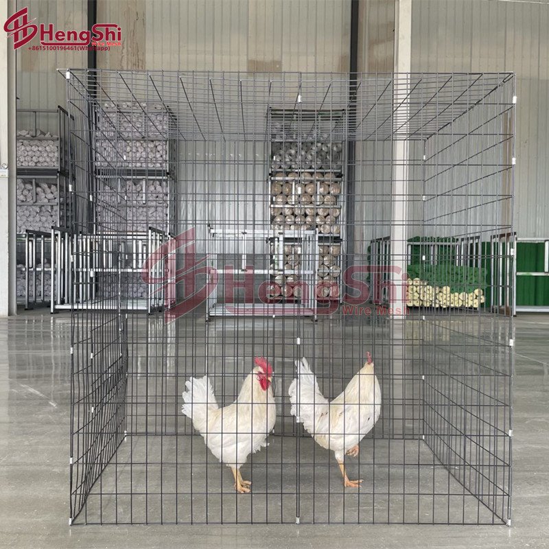 Safe temporary enclosure for chickens /Portable pen with front-opening door 5' x 5' x 40''